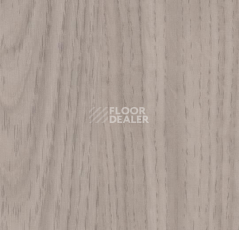 Кварцвиниловые полы Forbo Allura Flex Wood 63496FL1-63496FL5 grey waxed oak фото 1 | FLOORDEALER